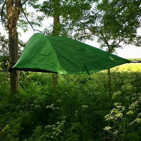Campingplatz Baumzelt Rogerson Altefähr